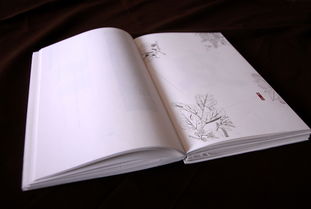 传统手工纸在书籍装帧中的艺术魅力