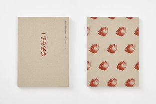 书籍设计 每一张脸，总能带给我们不一样的灵感