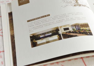 艺之光设计 以专业画册设计赋能食品企业品牌与招商